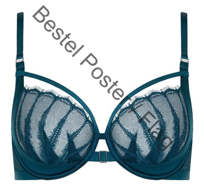 LOVELACE Bra with wire 10369